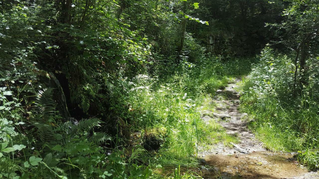 Se Reconnecter A La Nature Au Gite 3 Etoiles De Montager A Saint Andre De Chalencon Exterior photo